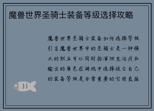 魔兽世界圣骑士装备等级选择攻略